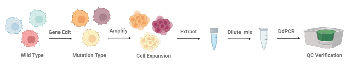 Panel 制备流程 Panel 制备流程