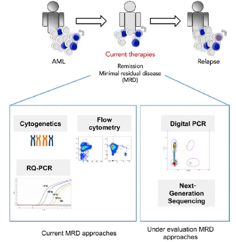 Package-Ref™ MRD Cocktail Reference Standard