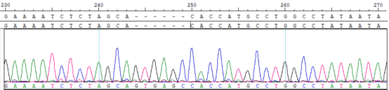 ITPR1 chr3_4871944+5LTR