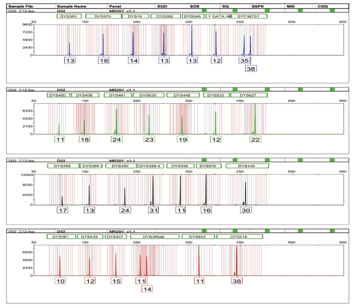 Y-STR Reference Standard