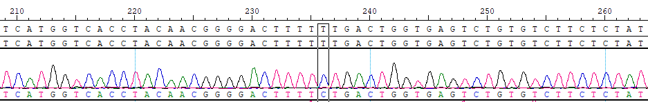 AI-Edigene&reg; POLE p.F367S Reference Standard Plus CBP10689