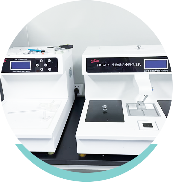 Molecular Diagnostics Reference Materials & Quality Controls Provider ...