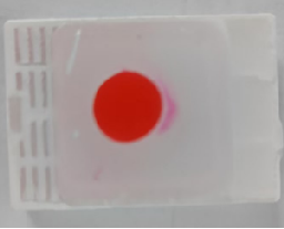 CLDN18.2 Mixed FFPE Block Reference Standard