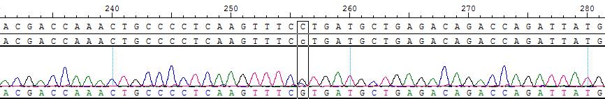 AI-Edigene&reg; POLE p.P286R Reference Standard Plus CBP10685
