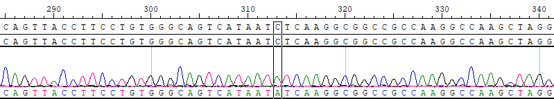 AI-Edigene&reg; POLE p.L424I Reference Standard Plus CBP10690