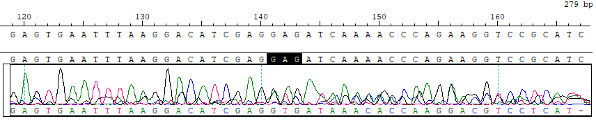 GJB2 c.358_360del Reference Standard CBPD0013