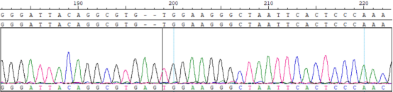 3LTR+ITPR1 chr3_4871940