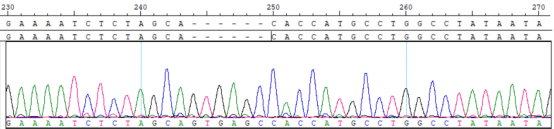 ITPR1-chr3_4871944+5LTR