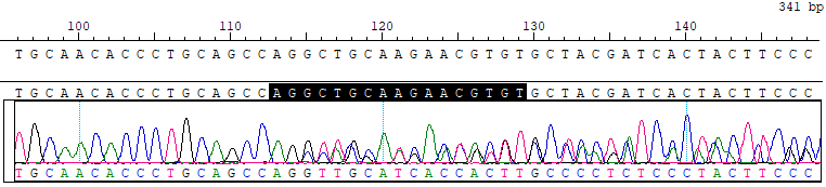 GJB2 c.176_191del Reference Standard CBPD0011