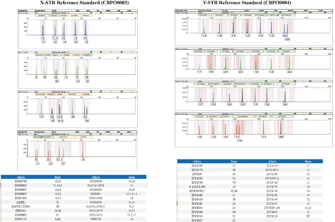 sex chromosome STR standards