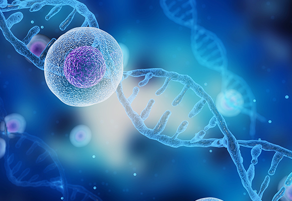 RT-PCR testing service application