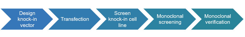 Knock-in service process