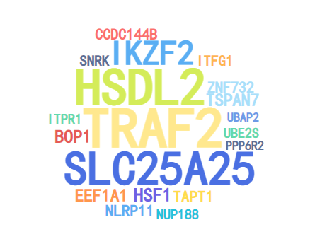 Figure 1. Gene Distribution