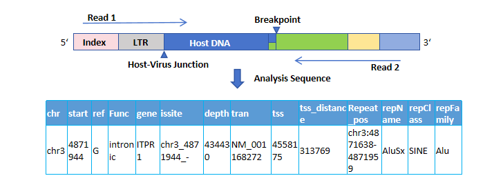 LM-PCR Result