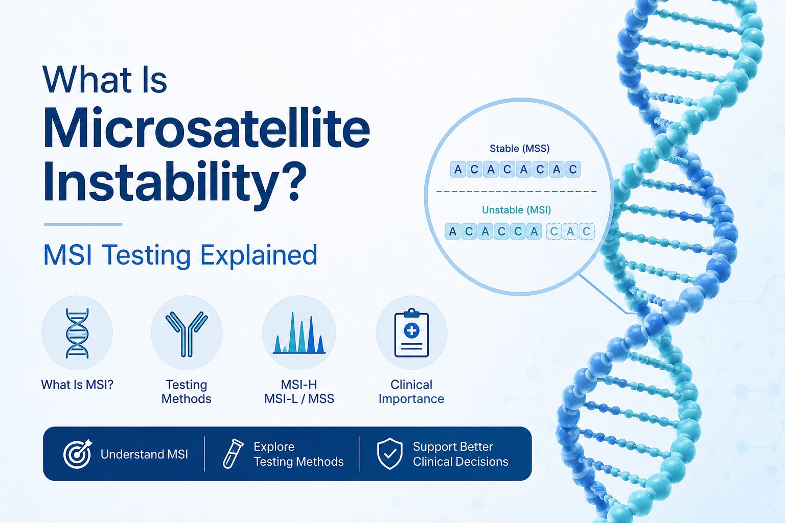 What Is Microsatellite Instability.png